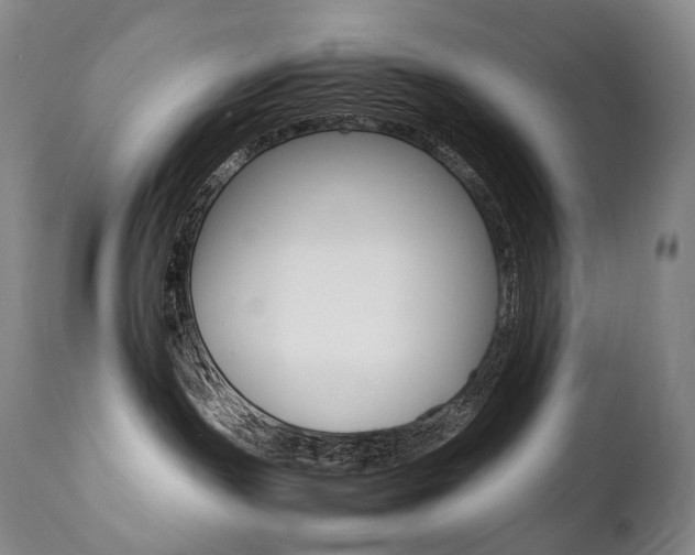 X0000111390191200907101010