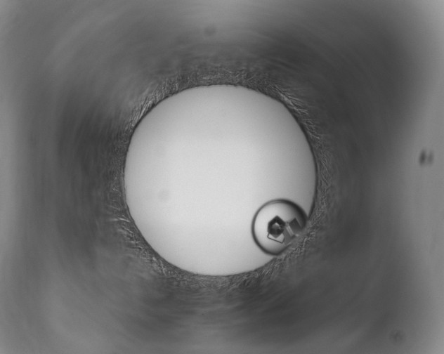 X0000111390192200907101010