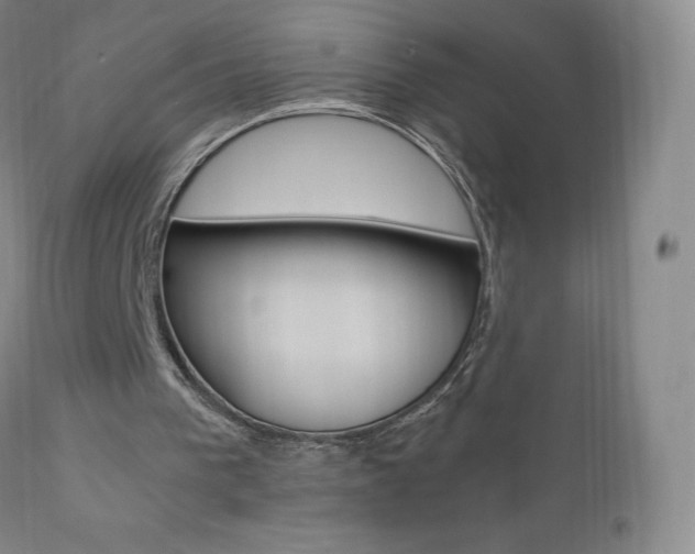 X0000111390193200907101009