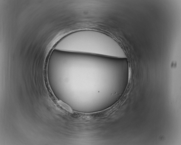 X0000111390195200907101009