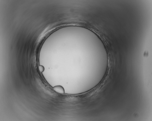 X0000111390198200907101009