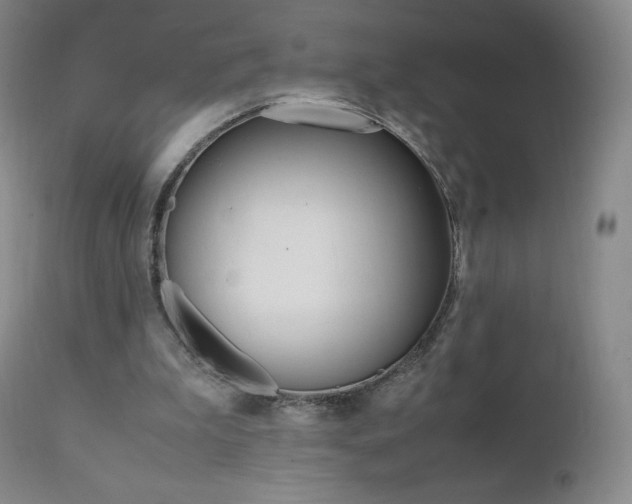 X0000111390199200907101009