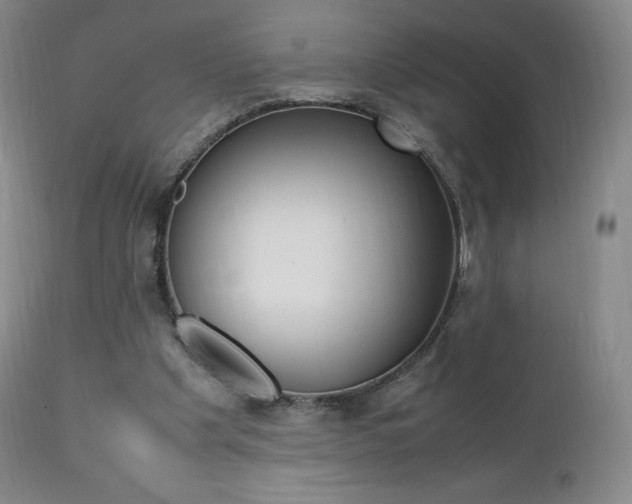 X0000111390201200907101009