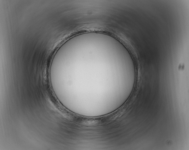 X0000111390202200907101009