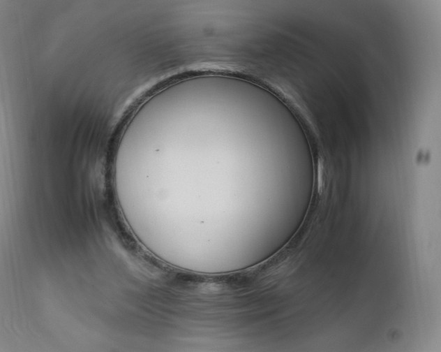 X0000111390204200907101009