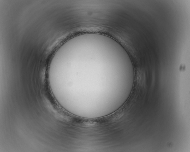 X0000111390206200907101009