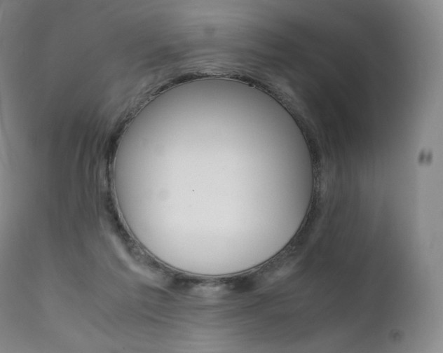 X0000111390213200907101009