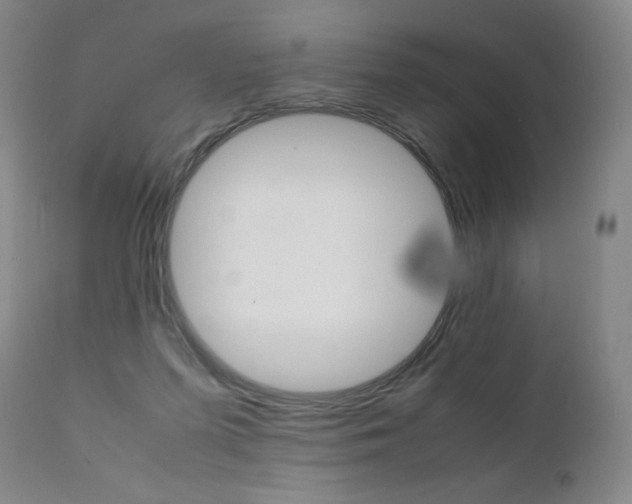 X0000111390215200907101009