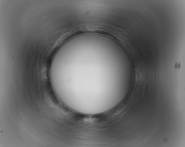 X0000111390216200907101009