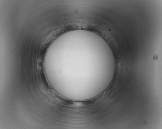 X0000111390218200907101009