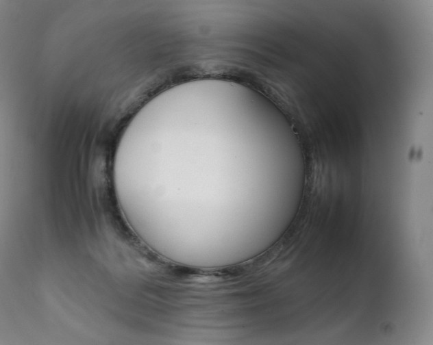 X0000111390220200907101009