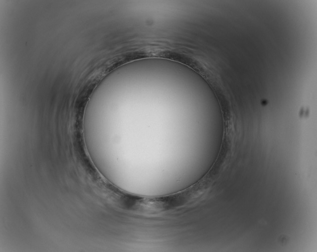X0000111390221200907101009