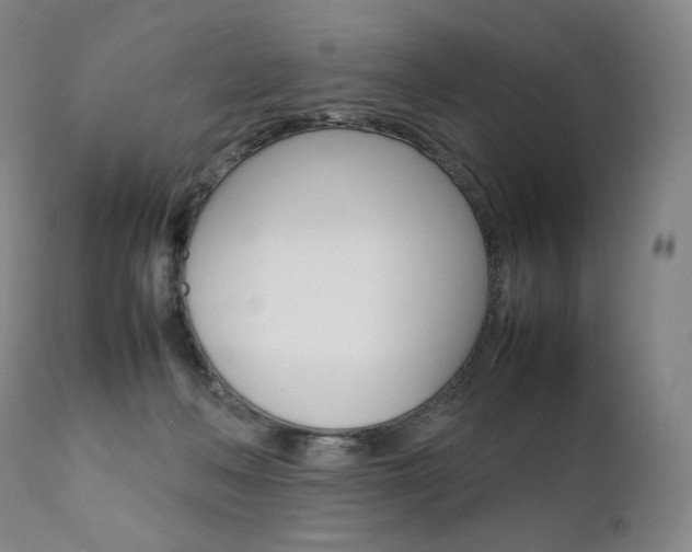 X0000111390222200907101009