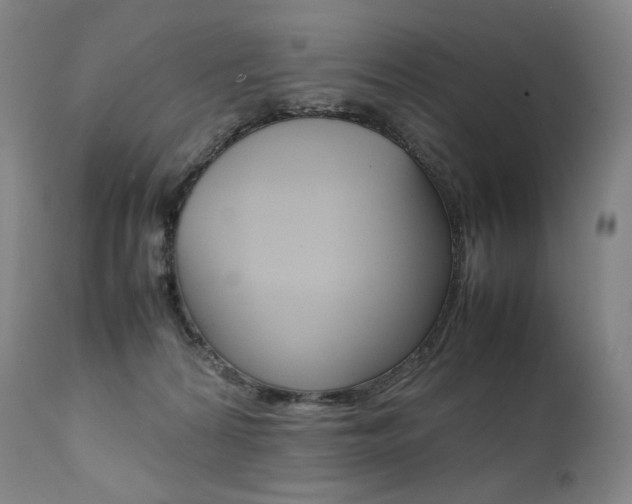 X0000111390224200907101009