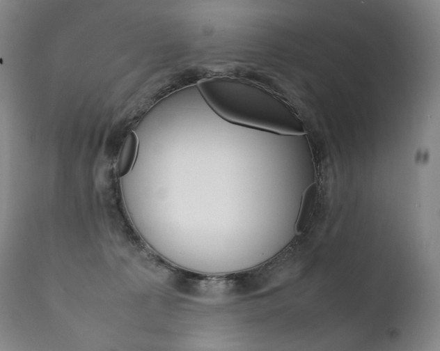 X0000111390225200907101009