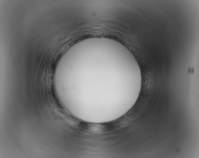 X0000111390226200907101009