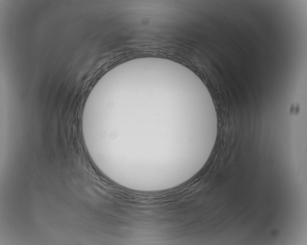 X0000111390229200907101009