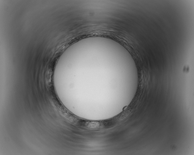 X0000111390230200907101009