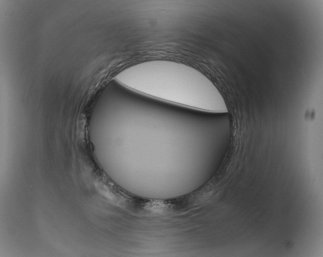 X0000111390231200907101009