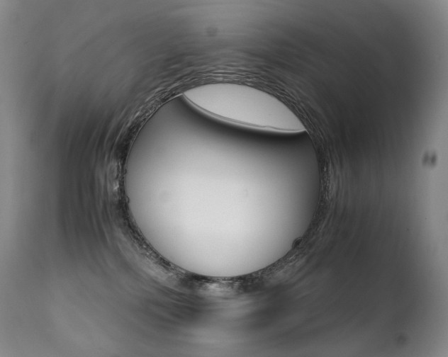 X0000111390232200907101009