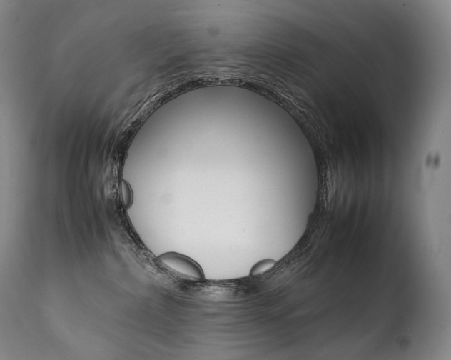 X0000111390236200907101009