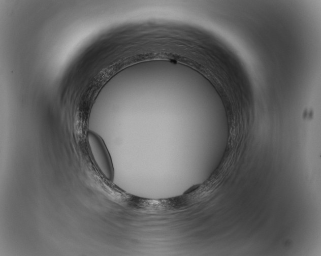 X0000111390239200907101009
