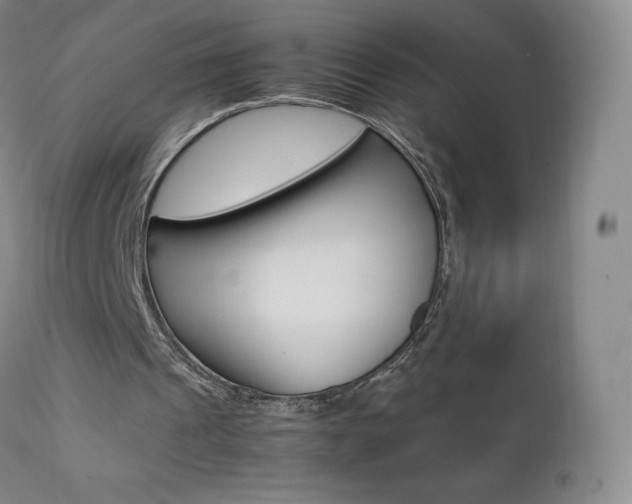 X0000111390241200907101008