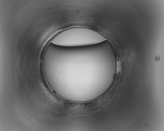 X0000111390243200907101008