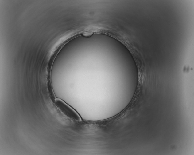 X0000111390244200907101008