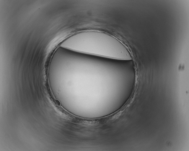 X0000111390245200907101008