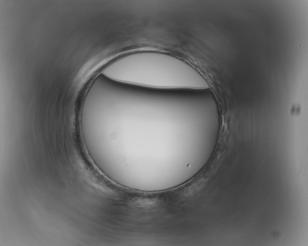 X0000111390247200907101008
