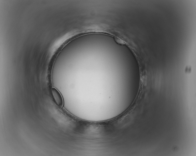 X0000111390248200907101008
