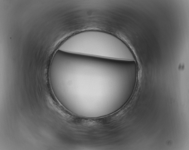 X0000111390249200907101008