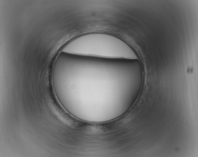 X0000111390250200907101008