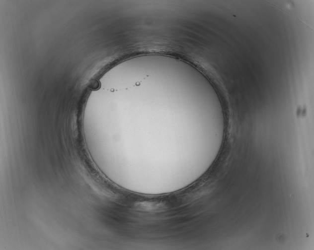 X0000111390251200907101008