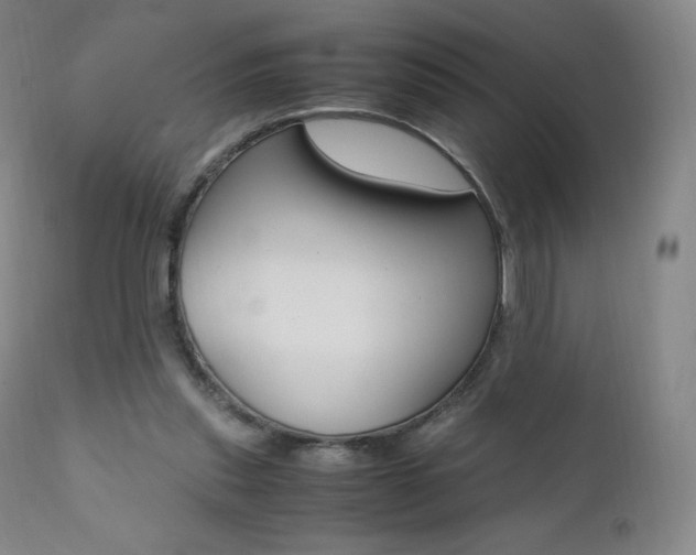 X0000111390253200907101008