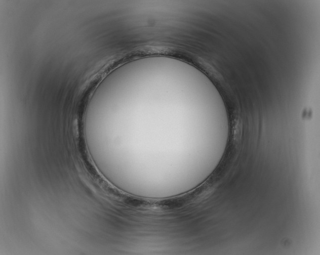 X0000111390254200907101008