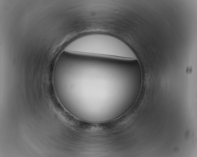 X0000111390256200907101008