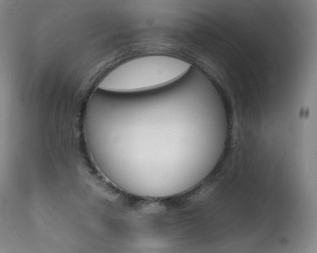 X0000111390258200907101008