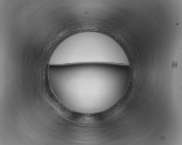 X0000111390260200907101008