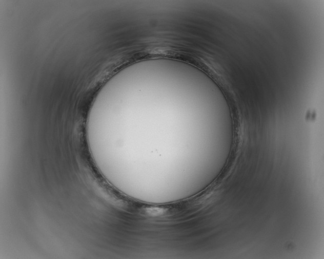 X0000111390265200907101008