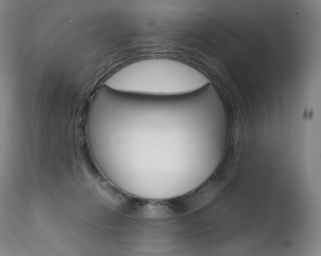 X0000111390270200907101008