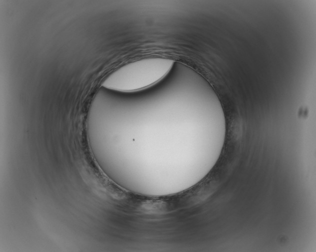 X0000111390271200907101008