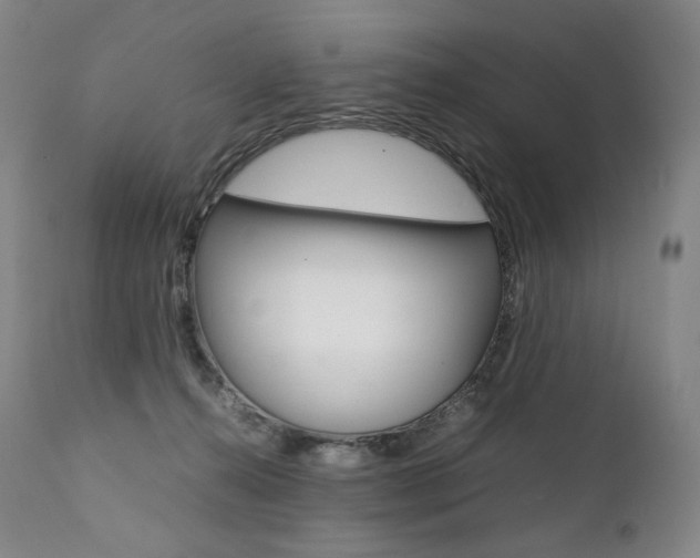 X0000111390272200907101008