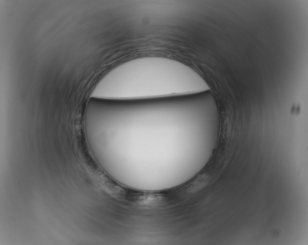 X0000111390274200907101008