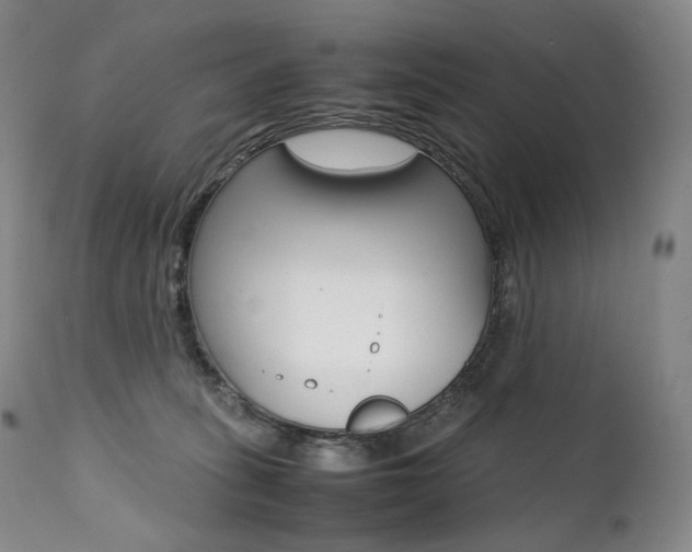 X0000111390275200907101008