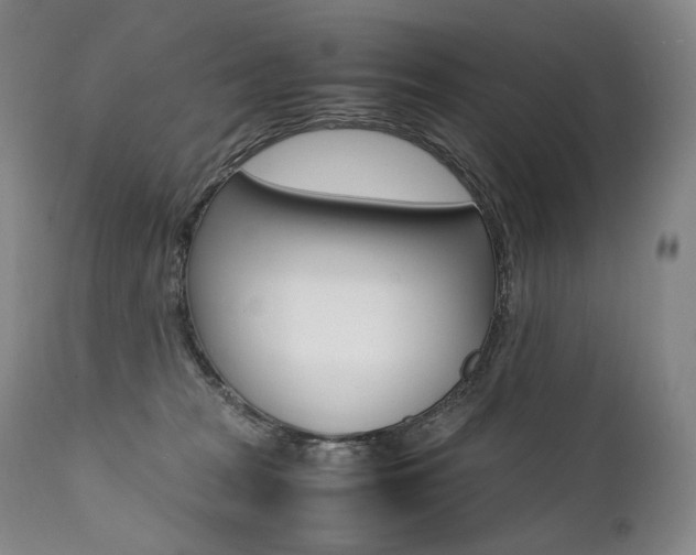 X0000111390277200907101008