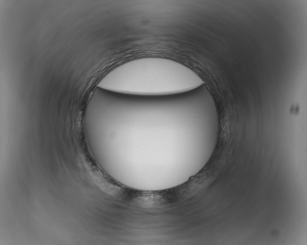 X0000111390278200907101008