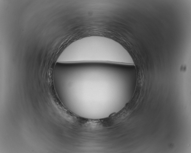 X0000111390280200907101008