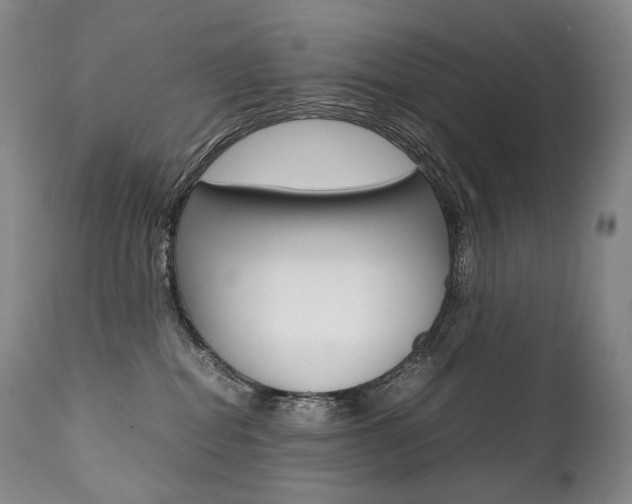 X0000111390282200907101008